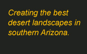 Creating the best desert landscapes in southern Arizona